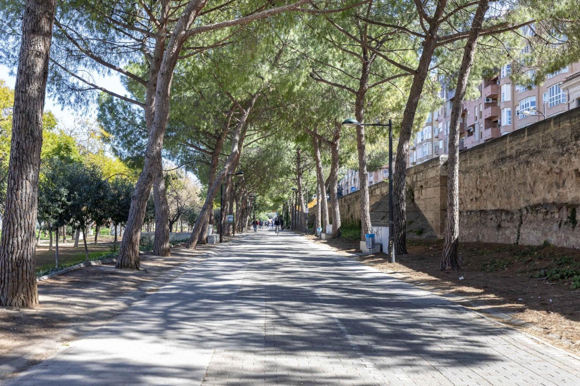 Apartup Turia River Park Valencia Exterior photo