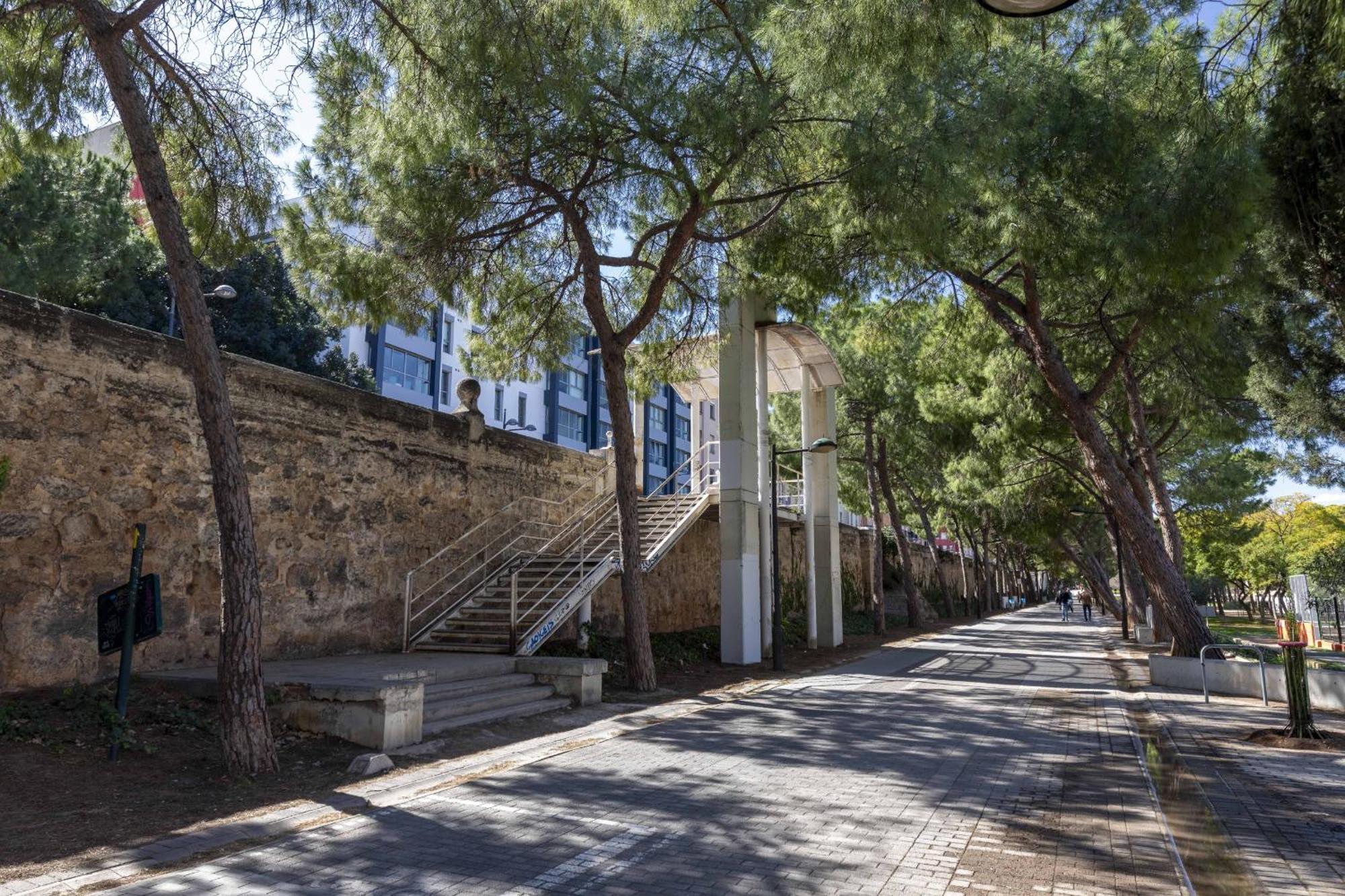Apartup Turia River Park Valencia Exterior photo