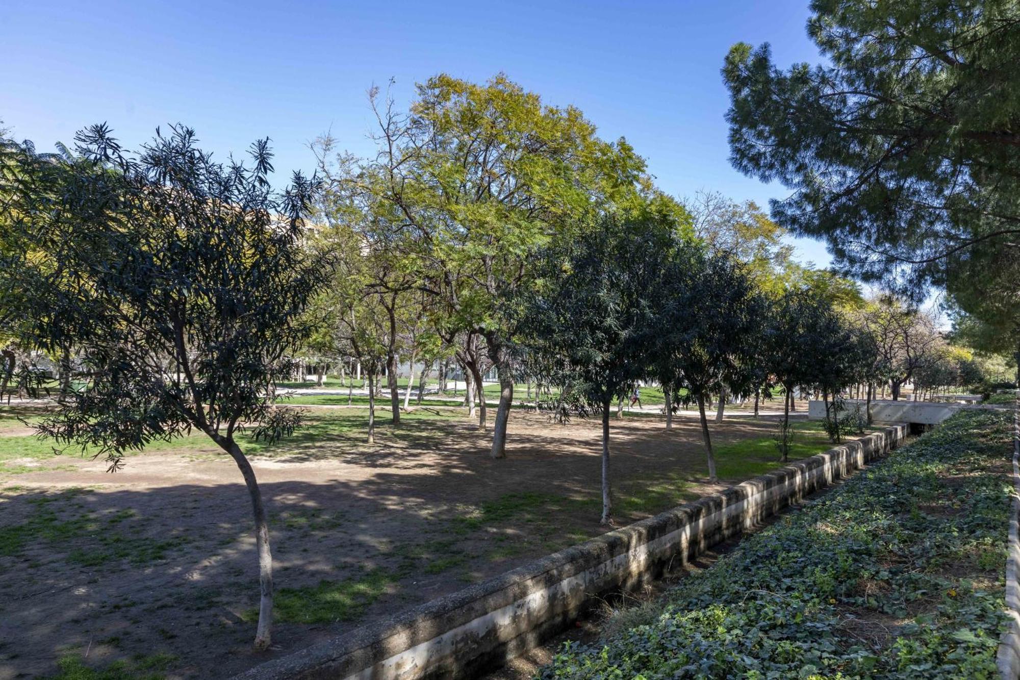 Apartup Turia River Park Valencia Exterior photo